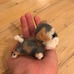 A needle-felted grey and brown dog dog with brown ears, a white beard, white eyebrows, a white tail, white paws, and thick eyelashes being held in a hand.